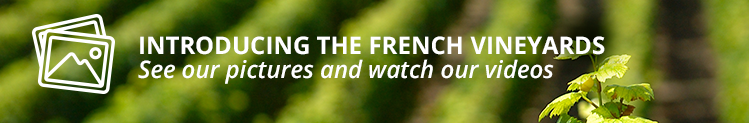Introducing the French vineyards - See our pictures and watch our videos